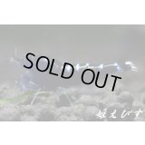 クラウドシュリンプ