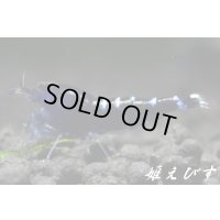 クラウドシュリンプ