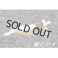 レッドシャドー・ルージュ（モスラ個体）