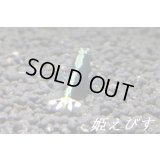 クラウド・ヴァティクルライン