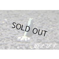 クラウド・ヴァティクルライン