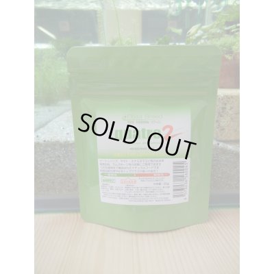 画像1: ｑｕａｔｒｏ２　クアトロ２　５０ｇ（Ｅｂｉｔａ　Ｂｒｅｅｄ）