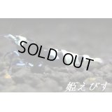 ブラックナナシーシュリンプ