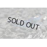 ゴールデンアイシュリンプ（１匹）