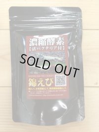 （ブリーダー様向け大袋）錦えび　濃縮酵素（100ｇ）