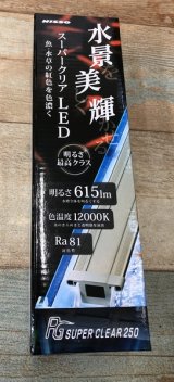 NISSO　ＰＧ　スーパークリアＬＥＤ　２５０