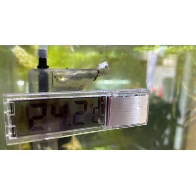 画像3: ボルクスジャパン　クリスタル水温計（LA-A006）