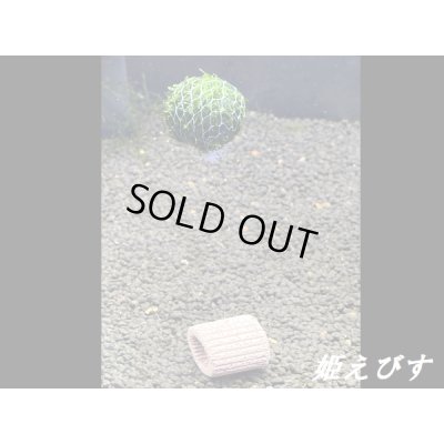 画像1: モスバルーン（巻きたて）　１個