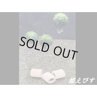 モスバルーン（巻きたて）　３個