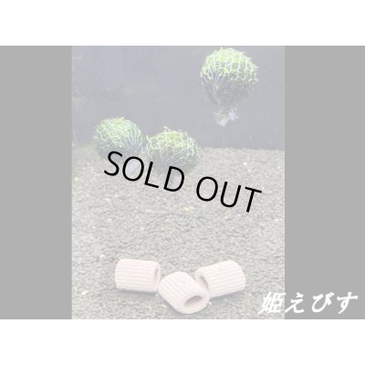 画像1: モスバルーン（巻きたて）　３個