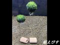 モスバルーン（巻きたて）　２個