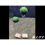 モスバルーン（巻きたて）　２個