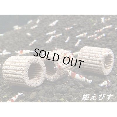 画像6: モスバルーン（巻きたて）　３個