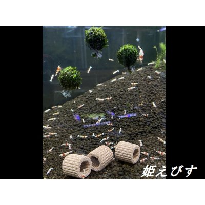 画像5: モスバルーン(巻きたて) 1個
