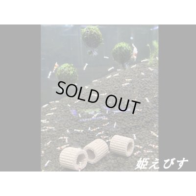 画像5: モスバルーン（巻きたて）　３個