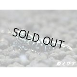 ブラックカオスシュリンプ（Galaxy Fishborn）最高峰ペア＝２匹　＜脚はスパイダーレッグの極上個体！＞