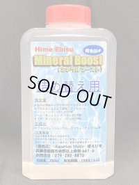 -詰め替え用-Ｍｉｎｅｒａｌ　Ｂｏｏｓｔ（ミネラルブースト）350ｍｌ