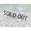 サムライブルー　ハイグレード抱卵ペア＝２匹　