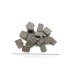 画像2: えび御膳　５０ｇ（Ｅｂｉｔａ　Ｂｒｅｅｄ） (2)