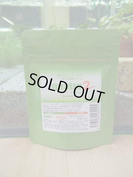 画像1: ｑｕａｔｒｏ２　クアトロ２　５０ｇ（Ｅｂｉｔａ　Ｂｒｅｅｄ） (1)