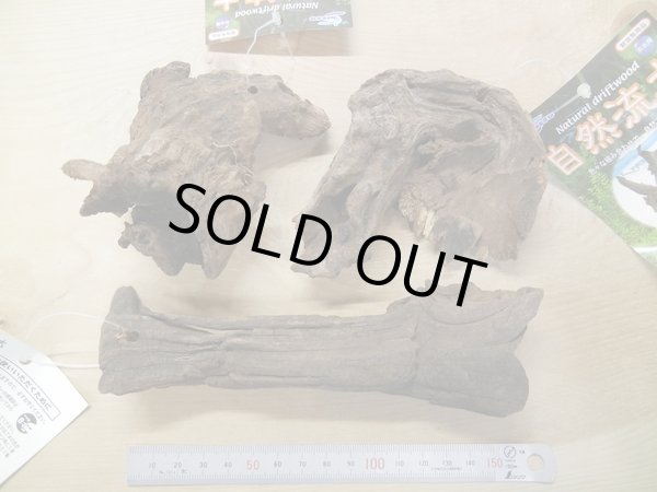 画像2: 自然流木　ミニ（約１５ｃｍ以下）　１本 (2)