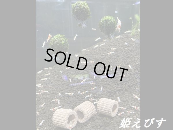 画像5: モスバルーン（巻きたて）　１個 (5)