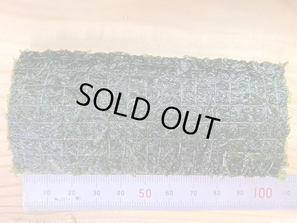 画像2: ＜無農薬＞※自社にて巻きたて※　ジャイアント南米ウィローモス付竹炭（板状）１枚 (2)