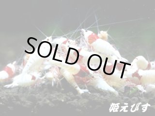 全商品 - 姫えびす WEBショップ (Page 2)