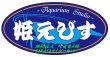 画像1: ＜埼玉県・K様専用購入ページ＞SARASAタイガー　個別注文ページ (1)