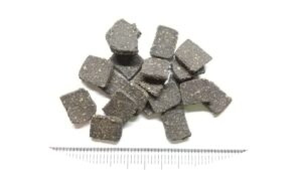 画像2: えび御膳　５０ｇ（Ｅｂｉｔａ　Ｂｒｅｅｄ） (2)